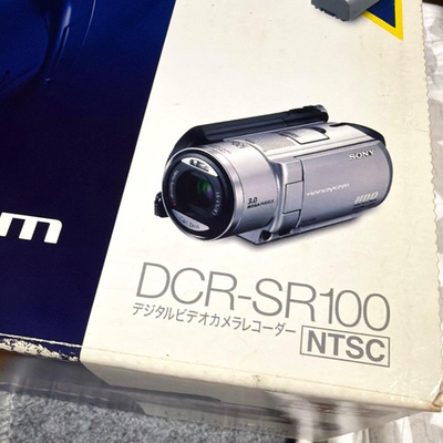 Sony Handycam DCR-SR100E Camcorder for sale online | eBay