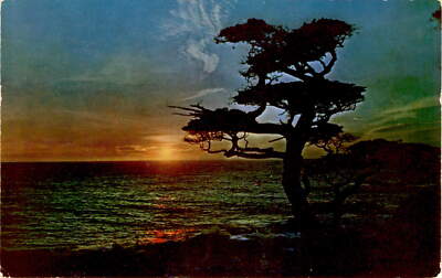 Pacific, La Jocce, United States, OMAS, C. b. DeCorke Postcard