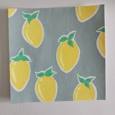 Sindy Fuhr Acrylic Painting Original Nature Fruit Pop Art Title Lemon Time A1