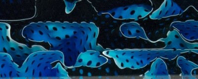 Blue Topaz Water Mesh BTW15KSM Acrylic (2 pc) Knife Scale 1/4'' x 1 1/2'' x 5''