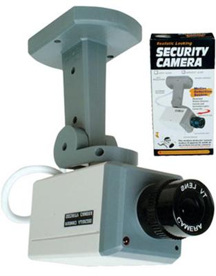 REALISTIC LOOKING MOTION ACTIVATE SECURITY VIDEO