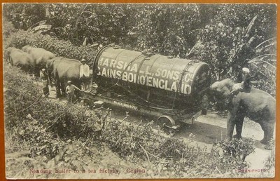 Sending boiler to a tea factory Ceylon 1910 Elefanten Gainsborough Agriculture