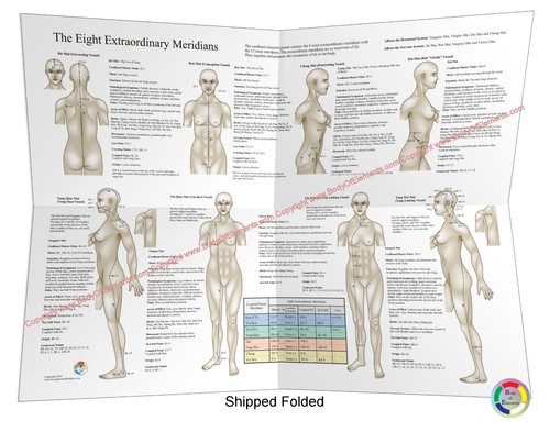 Eight Extraordinary Acupuncture Meridians Points Poster Chart 18 X 24 Paper