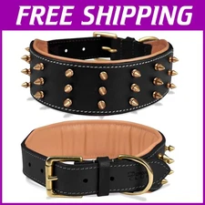2" Wide Dog Collar for Large Breeds - Black with Gold Spikes