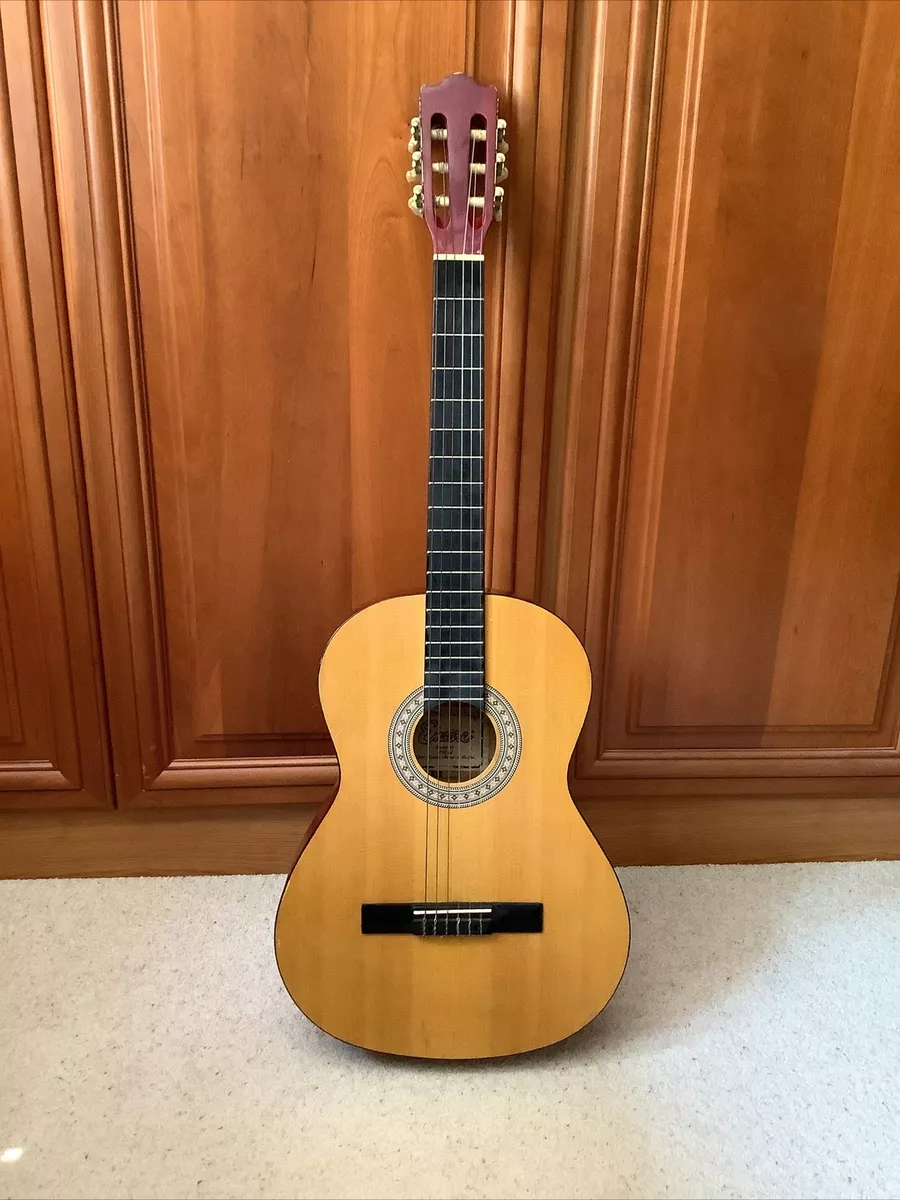 Vintage encore outlet acoustic guitar