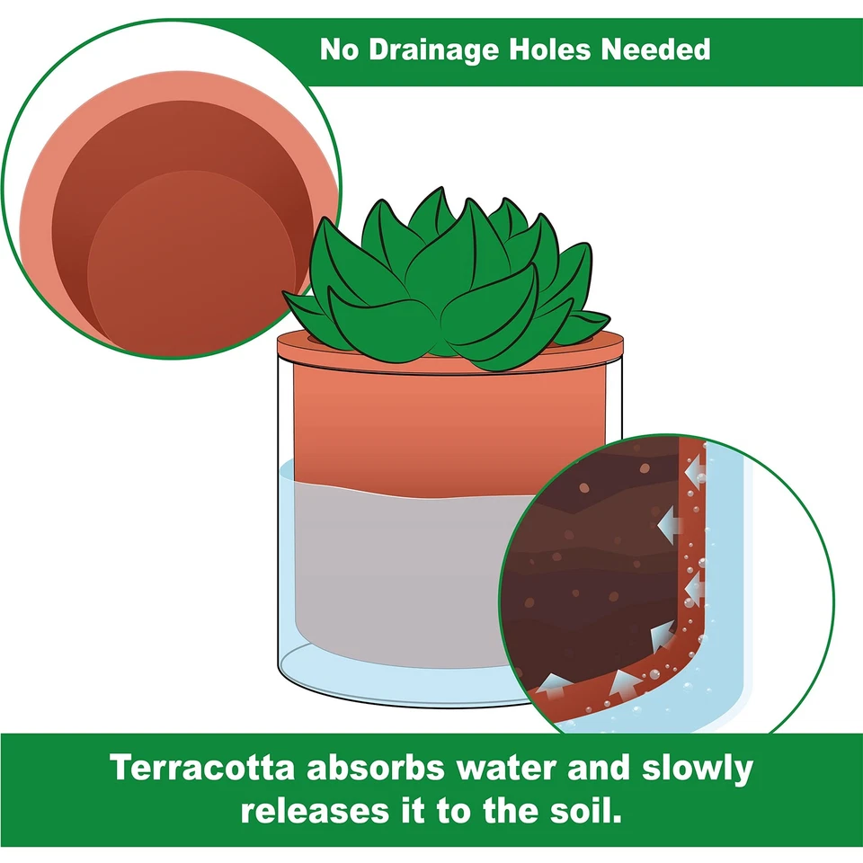 Maceta para plantas de riego automático de 6 pulgadas, maceta de terracota de diseño para plantas, cilindro interior... Foto 3 de 4