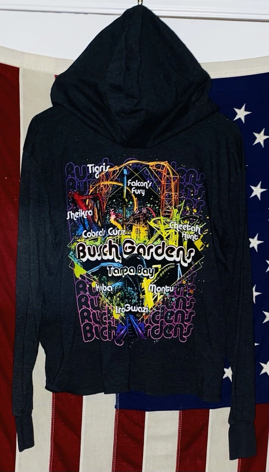 Busch Gardens Tampa Bay Lightweight Crop Graphic Hoodie Women Medium Gray NWOT