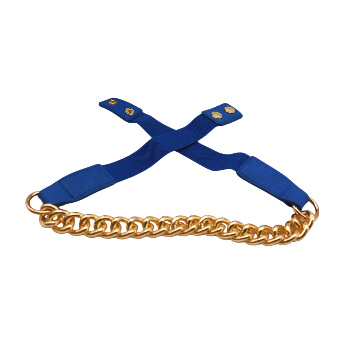 Women Blue Elastic Skinny Waistband Belt Thick Gold Metal 