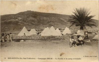 CPA AK ALGERIA Geiser 8 Bir Reinta - Le Fortin et le camp retrauché (765262)