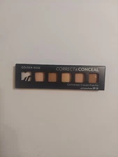 Celesty Golden Rose Correct & Conceal Concealer Cream Palette Light To Medium