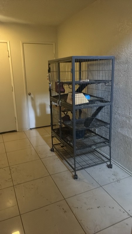 Large Black Metal 3-Tier Ferret Cage on Wheels with Ramps and Shelves