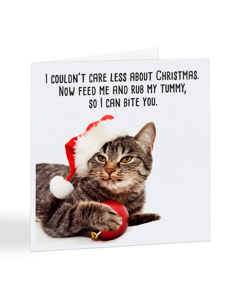 Politically Incorrect Christmas Cat