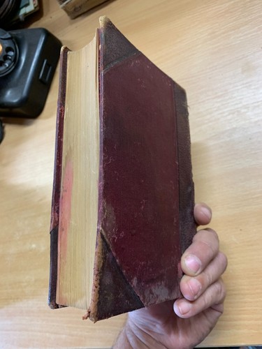 Libro antiguo c1880 Charles Dickens Dombey & Son Daily News edición conmemorativa (P5) - Imagen 3 de 19