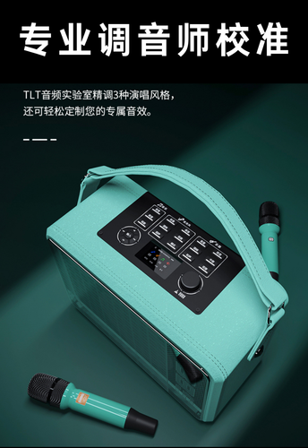 BBS便携式K歌音响移动KTV演出露营弹唱直播音箱带声卡户外室内P6配两支麦克风 浮光绿 - Afbeelding 4 van 12