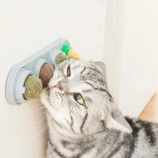 4in1 Catnip Silver Vine Ball Wall Toy Teeth Cleaning Digestive Health Cat