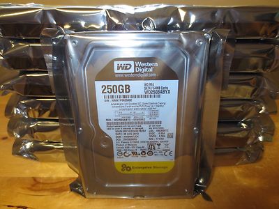 Western Digital WD2503ABYX-01WERA2 WD RE4 64MB 3.5'' 250gb Sata hard drive