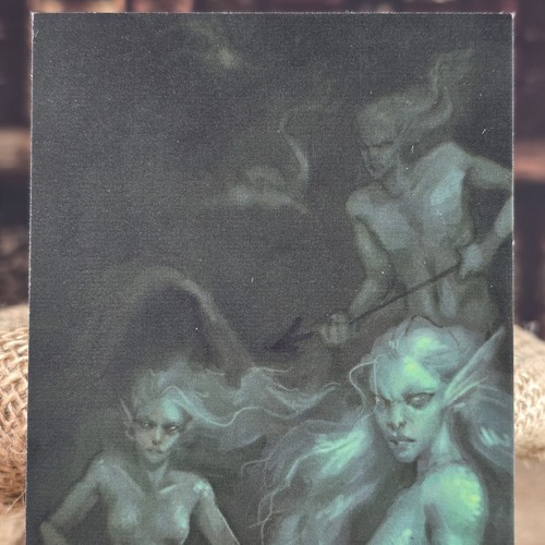 MerPeople Trading Card con finitura velluto Harry Potter ispirato a Litjoy Magical - Foto 5 di 9