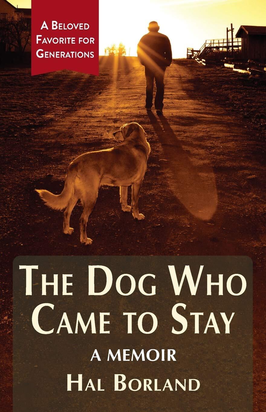 Thumbnail - Hal Borland The Dog Who Came To Stay (taschenbuch) (us Import)