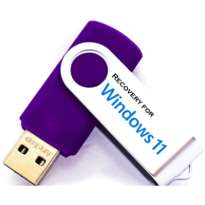 Windows 11 Professional – Pen Drive