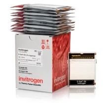 THERMO INVITROGEN E-Gel EX 2% Agarose Gels G401002 (10 packs) Exp 11-2025 