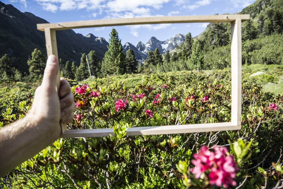 Thumbnail - Die Reise Des Wanderimkers Johannes Gruber
