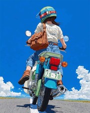 Motorbike Girl DIY Paint by Numbers Kit for Adults Relaxing Home Decor Art Set