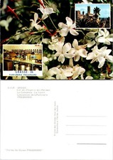 France Grasse Fragonard Perfumery Flowers Wom...