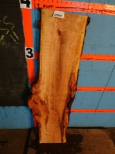 A998 1 1/2" THICK cherry burl live edge slab shelf table bench