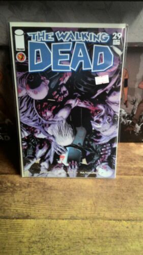 The Walking Dead #29 (Image Comics, June 2006) - Picture 1 of 1
