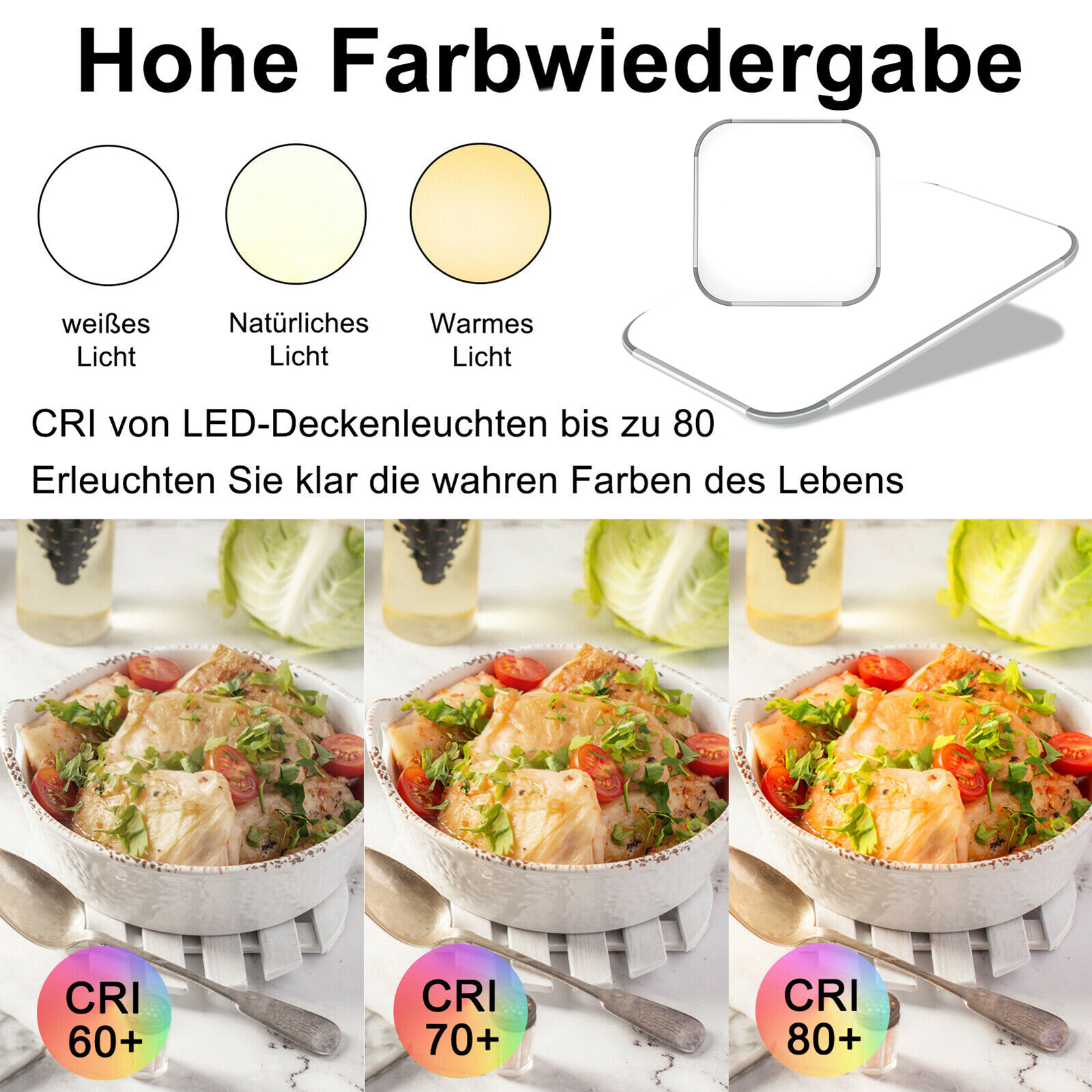 Bild 3 von 42