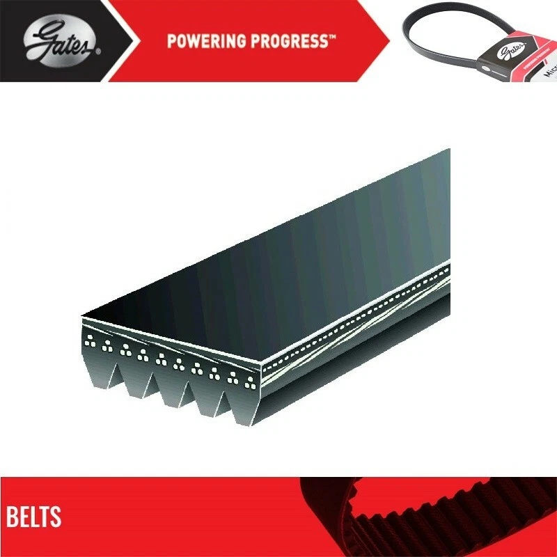 Correa de ventilador y alternador Gates para Chevrolet V3500 V8-5,7 L 1990-1991 Foto 2 de 4