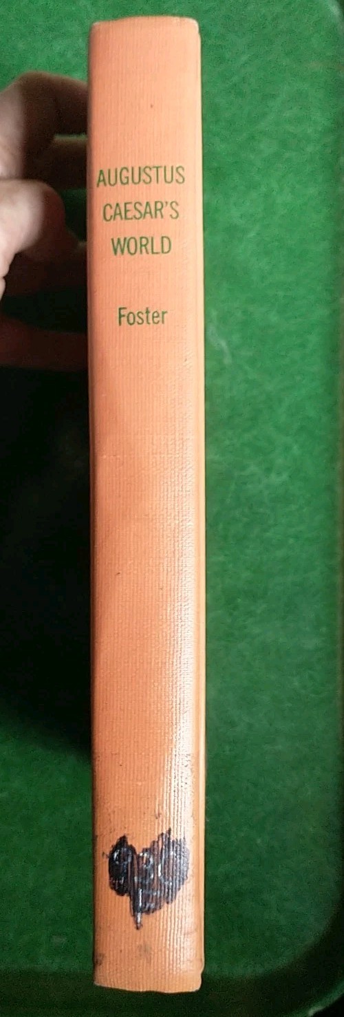 Picture 6 of 18