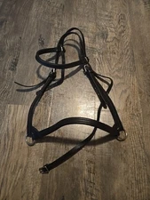 horse show halter