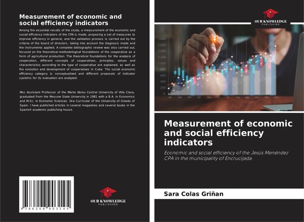 Sara Colas Grinan | Measurement Of Economic And Social Efficiency Indicators-image