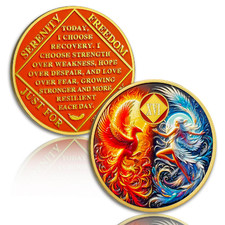Yrckudzkg Phoenix Rising 16 Year Sobriety Coin Addiction Recovery Aa Na Chips