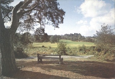J. Arthur Dixon Postkarte Reigate Heath Surrey topographische Landschaft PSR/23450