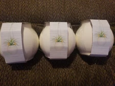 Ceramic Plant Hangers Hanging Planters Indoor Plants Plant Wall Hangers 3 PCS