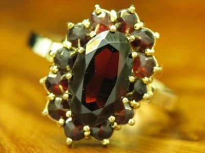 8kt 333 Gelbgold Ring mit 4,78ct Granat Cluster Besatz / 4,3g / RG 55 - Bild 1 von 4
