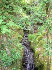 Photo 6x4 Vyrnwy stream Craig y Gribin One of many streams cascading down c2009