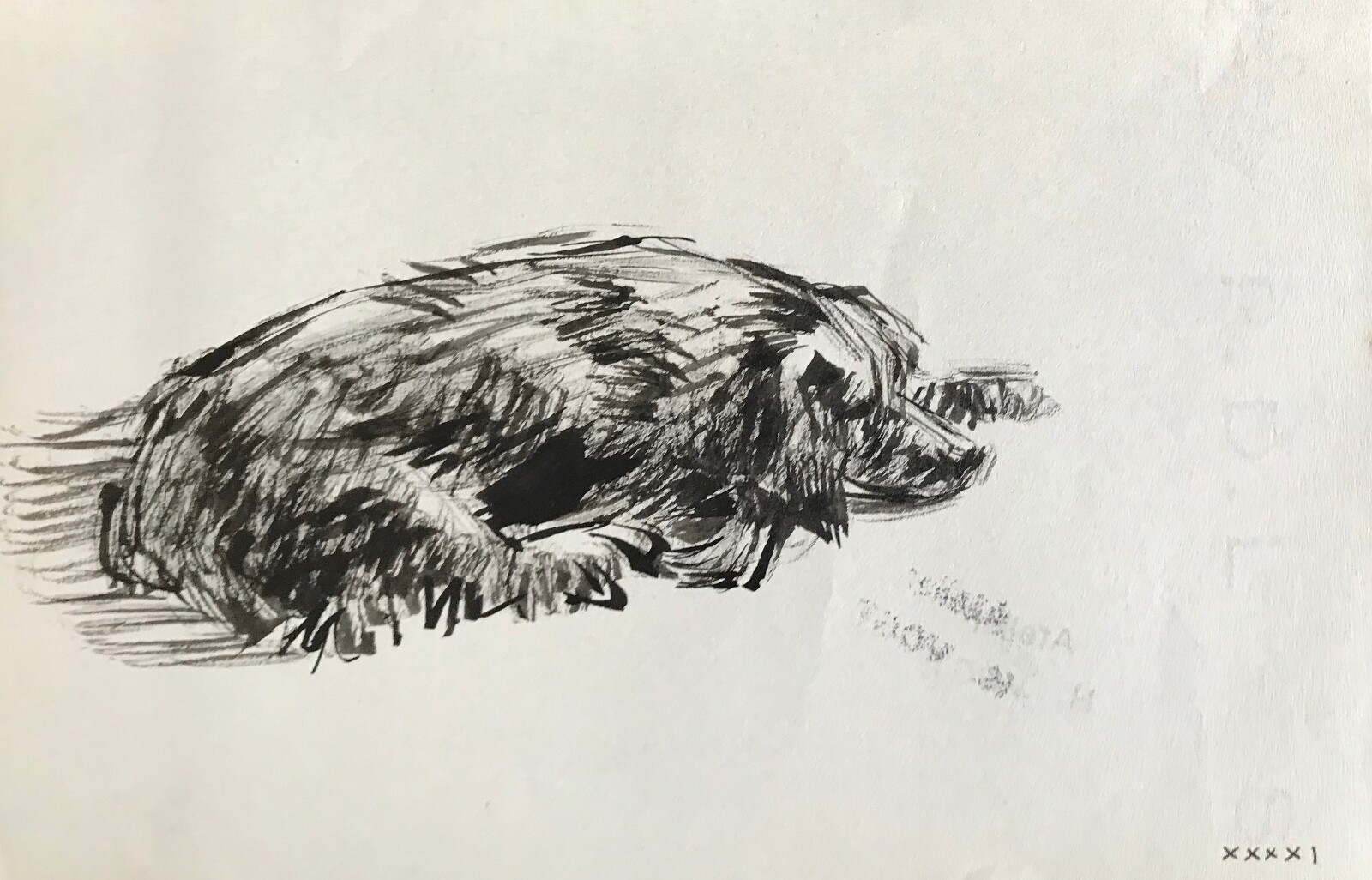 Hélène Vogt Original Ink Drawing of a Dog 24