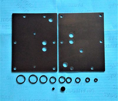 BRC Genius MAX Riparazione Set Membrane Kit di Fissaggio RIDUTTORE GPL Autogas