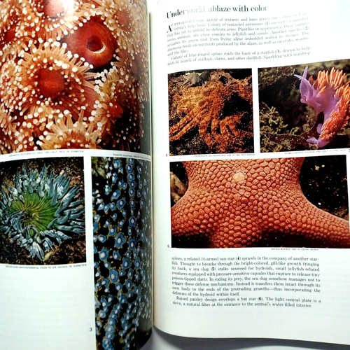 National Geographic August 1972 Stone Age Men of Philippines Aegean Isles Greece - Imagen 6 de 9