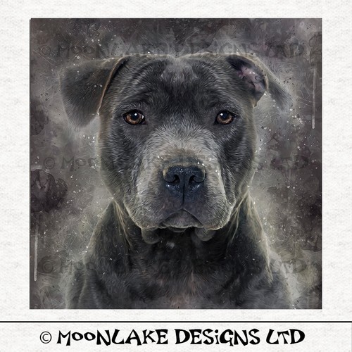 Staffordshire Terrier Portrait - Fabric Craft Panels in 100% Cotton or Polyester - Picture 3 of 3