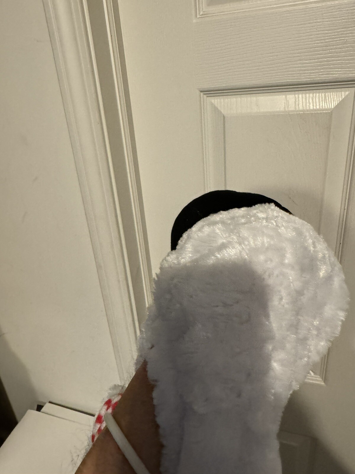 Picture 5 of 24