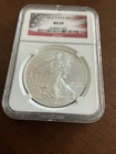 2014 american silver eagle NGC MS69 flag label
