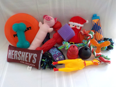 Dog Toys Used MixLot 17 Kong Rope Dollar Tree Vibrant Life Plush Squeaky Hershey