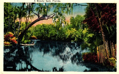 Postcard the beauty spot, Florida