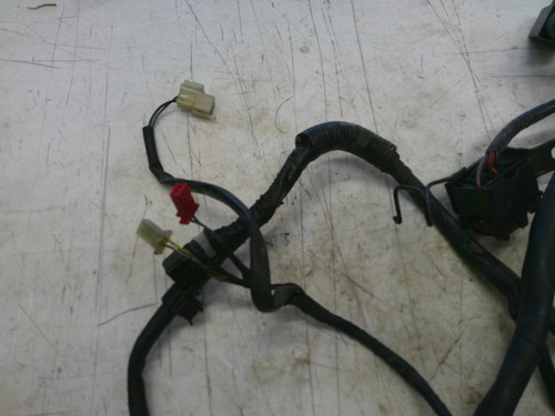 1991-1994 Honda CBR600 F2 complete wiring harness - Picture 2 of 11