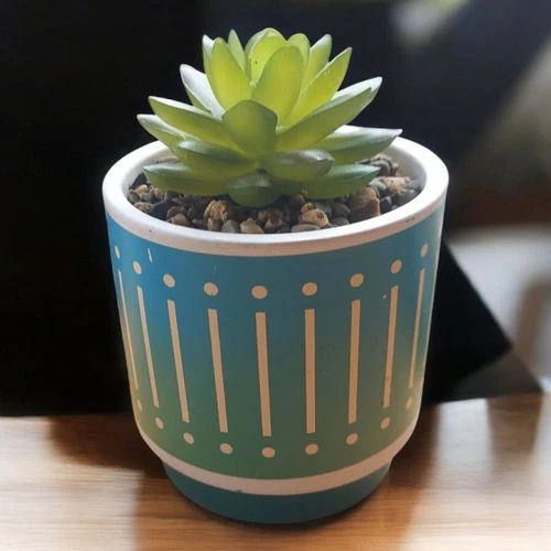 Faux Succulent Potted Plant - Picture 1 of 2