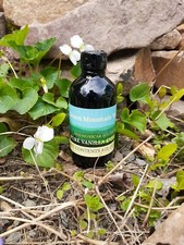 Madagascar Bourbon Pure Vanilla Extract